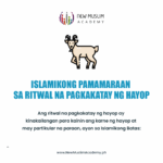 Islamikong Pamamaraan sa Ritwal na Pagkakatay ng Hayop