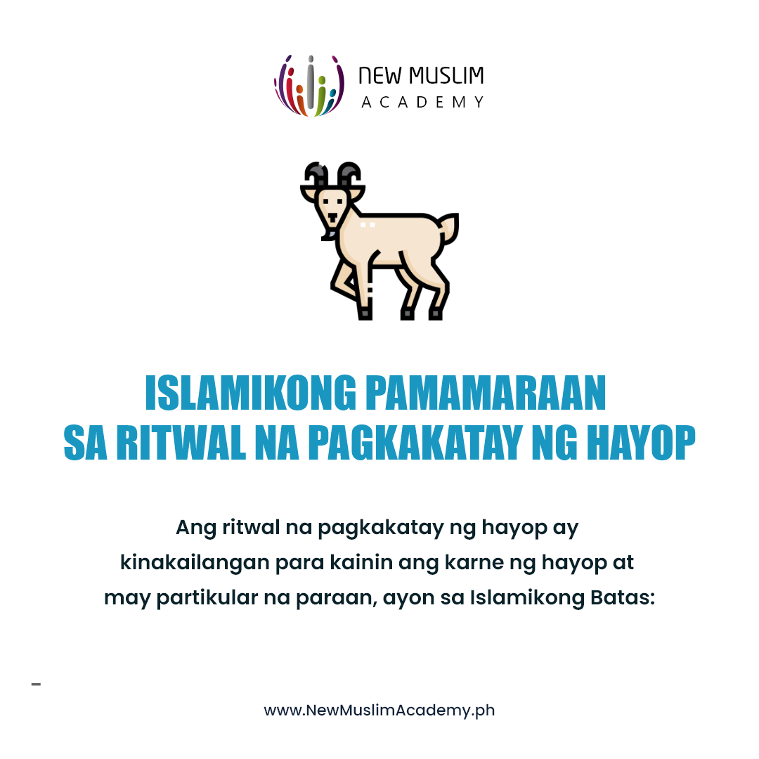 Islamikong Pamamaraan sa Ritwal na Pagkakatay ng Hayop